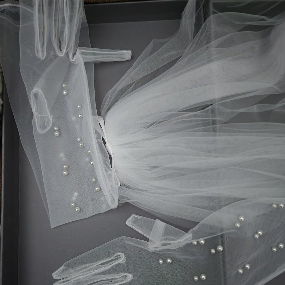 Long Sheer White Wedding Gloves/Veil